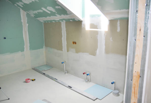 Best HVAC Mold Inspection and Cleaning  in River Grove, IL
