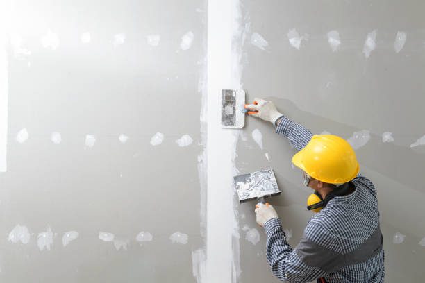 Best Mold Remediation for Rental Properties  in River Grove, IL