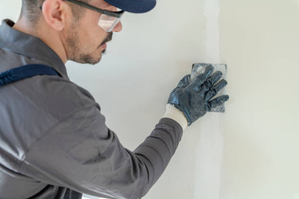 Best Emergency Mold Remediation  in River Grove, IL