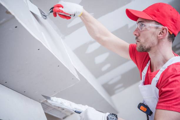 Best Crawl Space Mold Remediation  in River Grove, IL